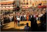 Palio Straordinario: la gallery della prima e della seconda prova